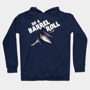 Do A Barrel Roll Hoodie